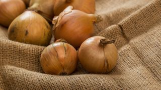 VIDEO- Prețul cepei a explodat! A crescut cu 300% din 2019 până în prezent