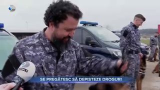 VIDEO- Drogurile din penitenciare, depistate de c&acirc;inii polițiști