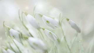 Alertă ANM: Temperaturi mai scăzute decât cele normale, în următoarele două săptămâni