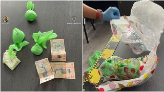 Zeci de percheziții au fost făcute, zilele acestea, de ofițerii anti-drog care au găsit stupefiantele ascunse &icirc;n casă, &icirc;n borcane și &icirc;n congelator