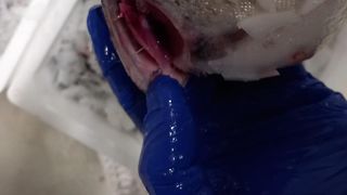 Nu trebuie să achiziționăm produse cu suprafață lipicioasă, deshidratată, cu pete de mucegai, produse cu miros și culoare modificate, cu aspect de vechi