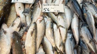 La cumpărarea peștelui și produselor din pește, ar trebui solicitat și păstrat bonul de casă