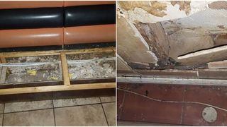 Cum arată cel mai murdar restaurant din lume? „Carnea a fost târâtă pe podea de șobolani”