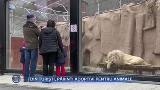 Din turiști, părinți adoptivi pentru animale