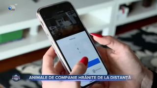 Animale de companie hrănite de la distanță