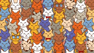 test iq iluzie optică iepure pisici