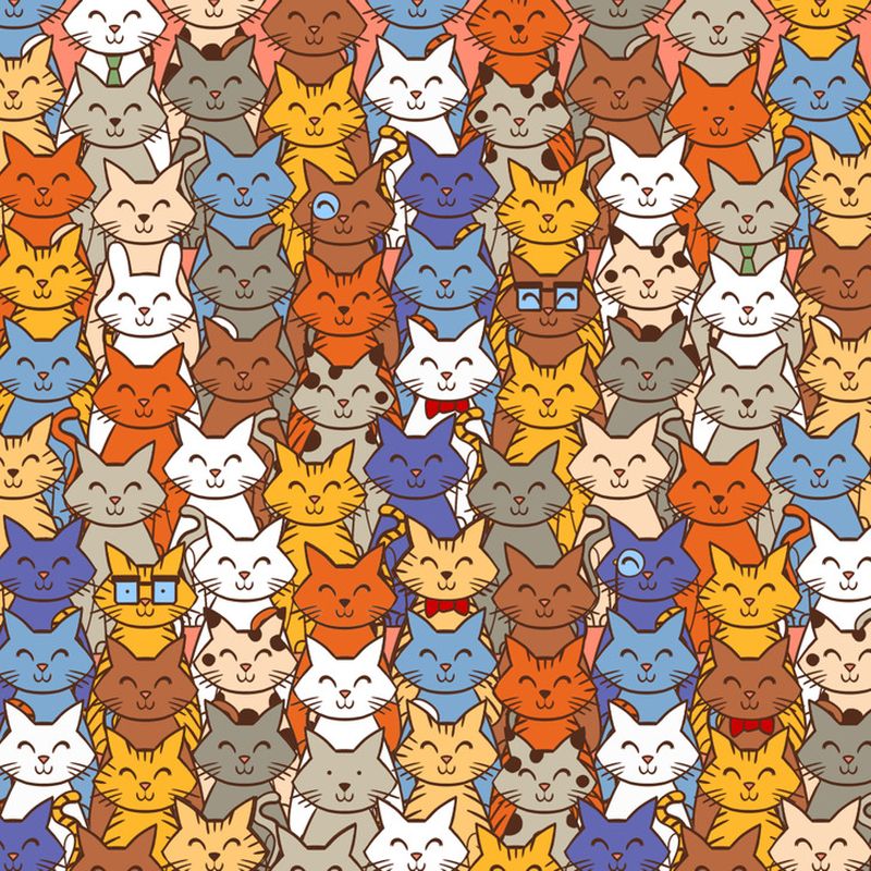 test iq iluzie optică iepure pisici