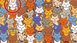 Soluția la testul IQ iluzie optica 