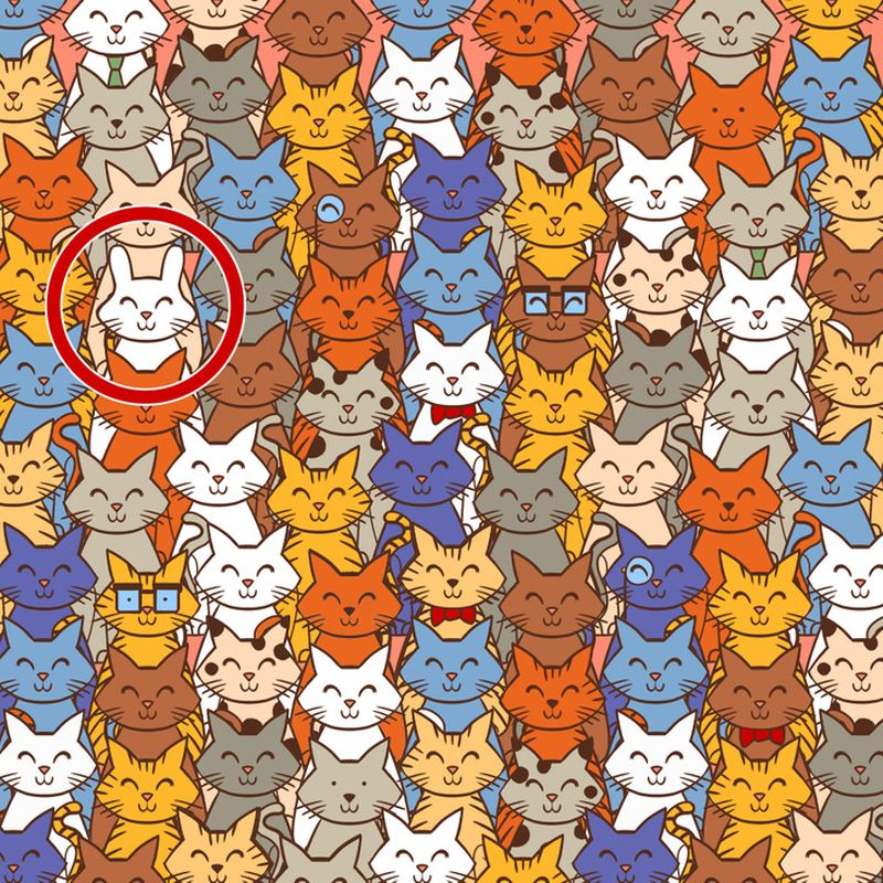 Soluția la testul IQ iluzie optica 