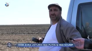 Vom avea usturoi mai &icirc;uțin și mai scu