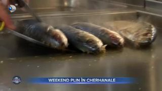 Weekend plin &icirc;n cherhanalele din Constanța