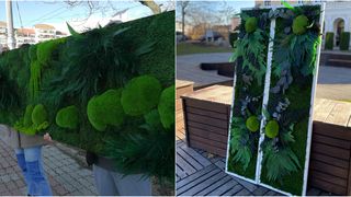 Aranjamentele florale costă între 20 și 5000 de lei iar tablurile și panourile cu lichenii câteva mii de euro.