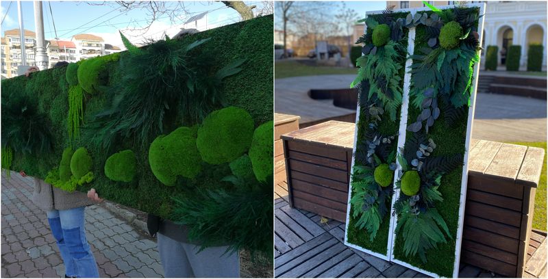 Aranjamentele florale costă între 20 și 5000 de lei iar tablurile și panourile cu lichenii câteva mii de euro.