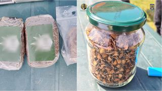 FOTO - Două persoane din Vâlcea au fost arestate pentru trafic de droguri de risc și mare risc