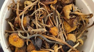 FOTO - Două persoane din V&acirc;lcea au fost arestate pentru trafic de droguri de risc și mare risc