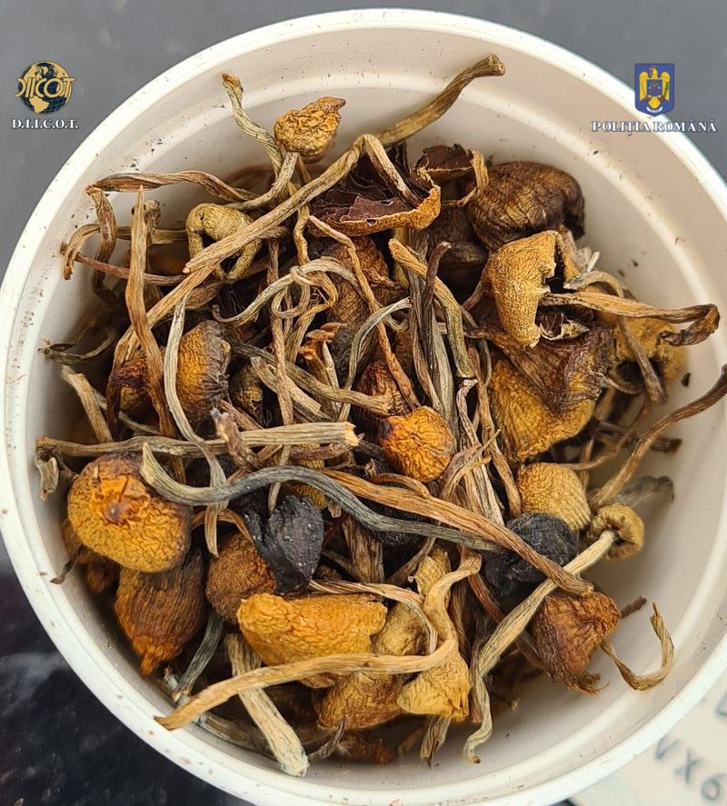 FOTO - Două persoane din Vâlcea au fost arestate pentru trafic de droguri de risc și mare risc