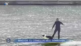 VIDEO- Cu c&acirc;inele pe r&acirc;ul D&acirc;mbovița