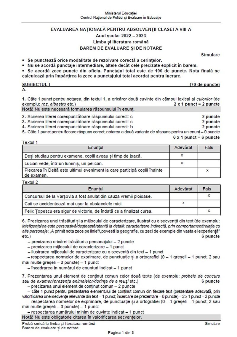 Rezultate simulare Evaluare Națională 2023. Când vor fi anunțate notele?