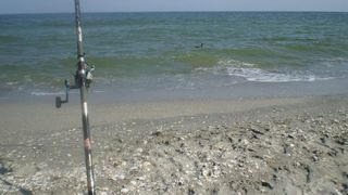 VIDEO- Plajele pescărești - din ce în ce mai puține pe litoralul românesc