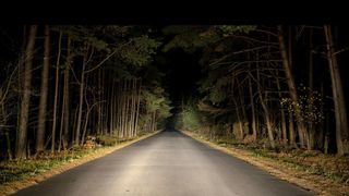 FOTO - Clipe de groază pentru șoferii din Satu Mare. Un manechin decapitat este amplasat pe marginea unui drum