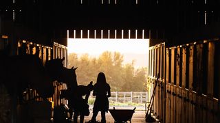 Femeia nu ar fi asigurat condițiile de bunăstare a animalelor, respectiv apă, hrană și adăpost corespunzător sezonului rece