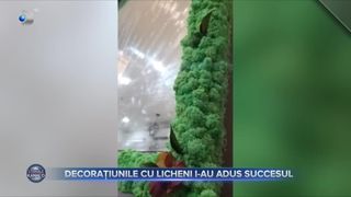 Decorațiunile cu licheni i-au adus succesul