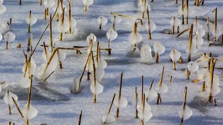 La &icirc;nceputul săptăm&acirc;nii viitoare este așteptat din nou un aer polar care va aduce vreme rea &icirc;n majoritatea teritoriilor țării.