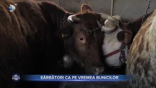 Sărbători ca pe vremea bunicilor