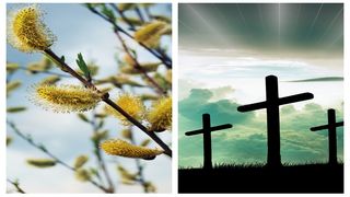 Care este semnificația religioasă și tradițională a Floriilor