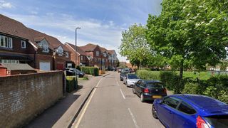 C&acirc;inele, a cărui rasă nu a fost dezvăluită a fost prins și &icirc;ndepărtat de la adresă.