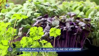 VIDEO- Microplantele, alimente pline de vitamine