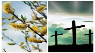 Ce nume se sărbătoresc de Florii? Cui spunem &bdquo;La mulți ani!&rdquo; pe 9 aprilie?