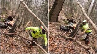 VIDEO - La un pas de tragedie într-o pădure din județul Brașov! Un urs a încercat să atace un motociclist