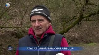 Atacat l&acirc;ngă b&acirc;rlogul ursului