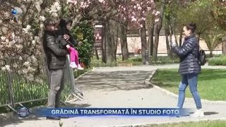 Grădina transformată &icirc;n studio foto