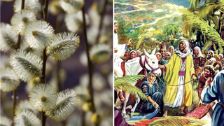 Floriile 2023. Ce semnificație are Duminica Floriilor? De ce se sărbătorește în fiecare an pe o dată diferită?