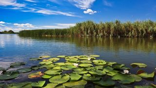 Vacanța de 1 mai în România? Patru destinații de vis din țara noastră