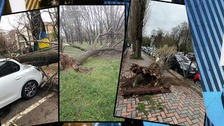 VIDEO/ FOTO - Codul galben de vreme rea a făcut ravagii în Capitală