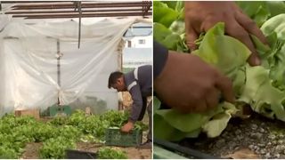 VIDEO - Asta-i România! Cea mai săracă și cea mai scumpă masă de Paște