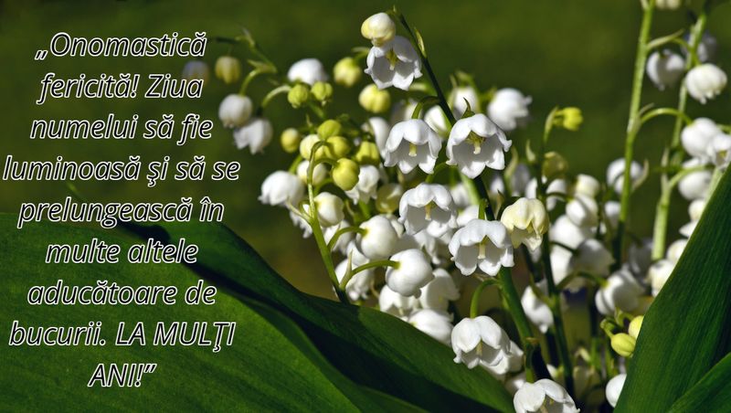  Mesaje de Florii 2023.