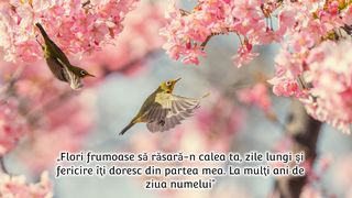  Mesaje de Florii 2023.