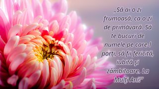 Mesaje de Florii 2023. Urări și felicitări frumoase pentru sărbătoriți