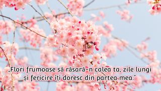 Mesaje de Florii 2023. Urări și felicitări frumoase pentru sărbătoriți