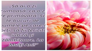 Cele mai frumoase mesaje de Florii 2023. Cum să le spui „La mulți ani” celor dragi