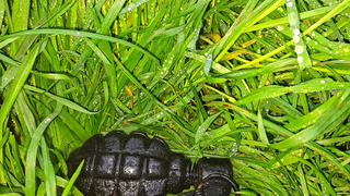 Proiectil exploziv, găsit de un șofer pe DN6