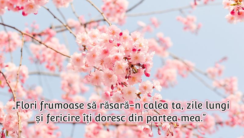 Urări de Florii 2023.