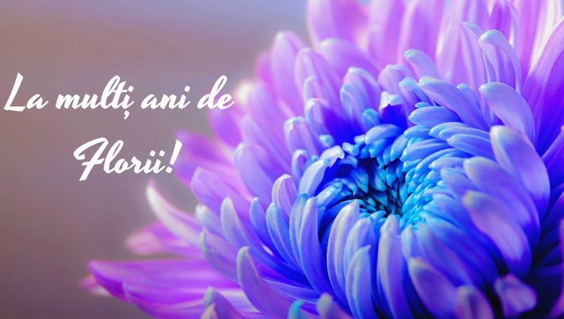 Felicitări de Florii 2023. Mesaje, urări și imagini cu text cu „La mulți ani!”