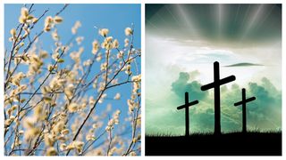 Florii 2023. Ce semnificație are salcia pusă la intrarea în casă?