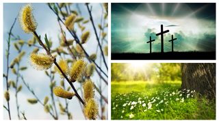 Obiceiuri de Florii 2023. Ce nu ai voie să faci Duminică? Este mare păcat!