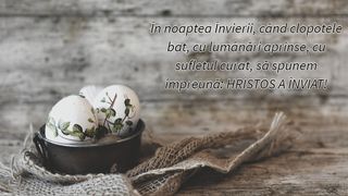 Mesaje de Paștele catolic 2023. Urări și felicitări pentru credincioșii catolici